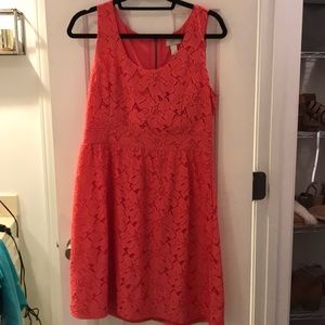 Coral lace dress from Loft